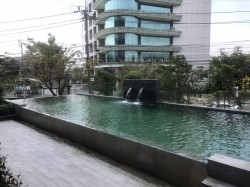 ขนาด 16.35 x 4.10 @ The unique Kaset สุคนธสวัสดิ์